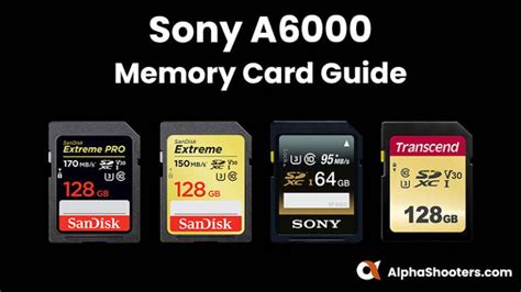 sony a6000 sd card|Best Sony A6000 Memory Cards .